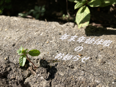 年末年始休暇のお知らせ